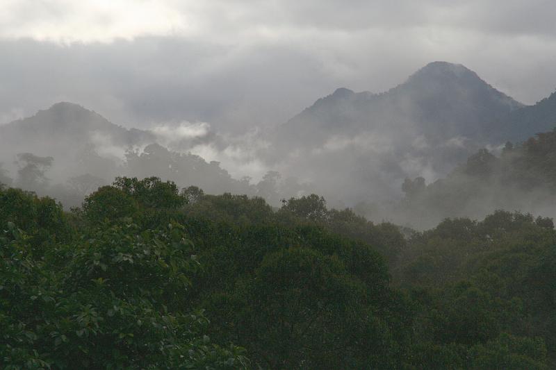 Maquipucuna_Cloud_Forest_4.jpg