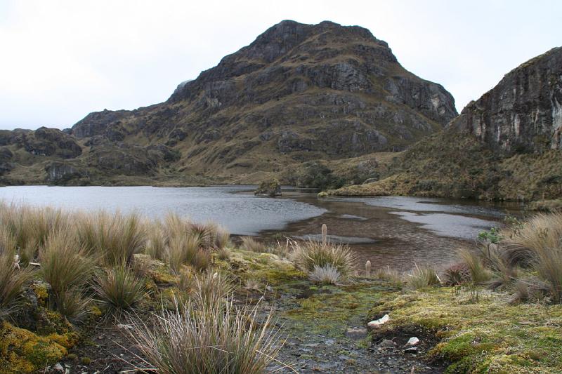 Cajas_10.jpg