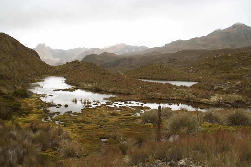 Cajas_20.jpg