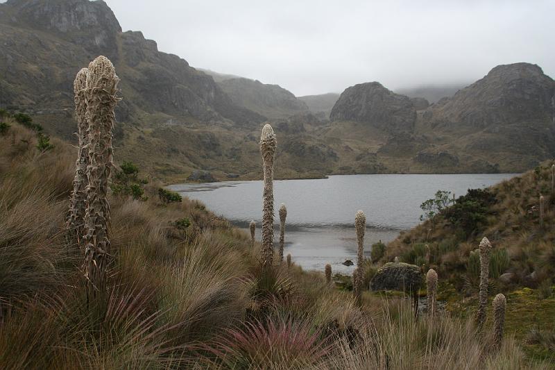 Cajas_4.jpg