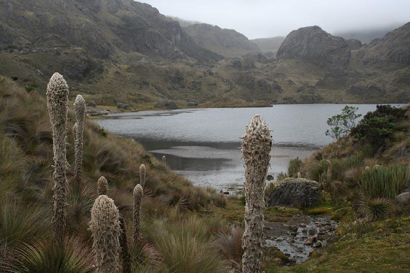 Cajas_5.jpg