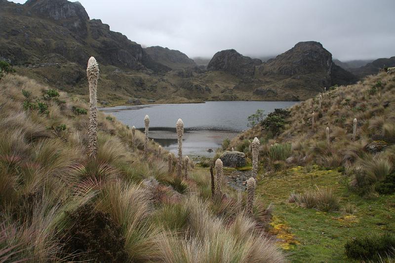 Cajas_6.jpg