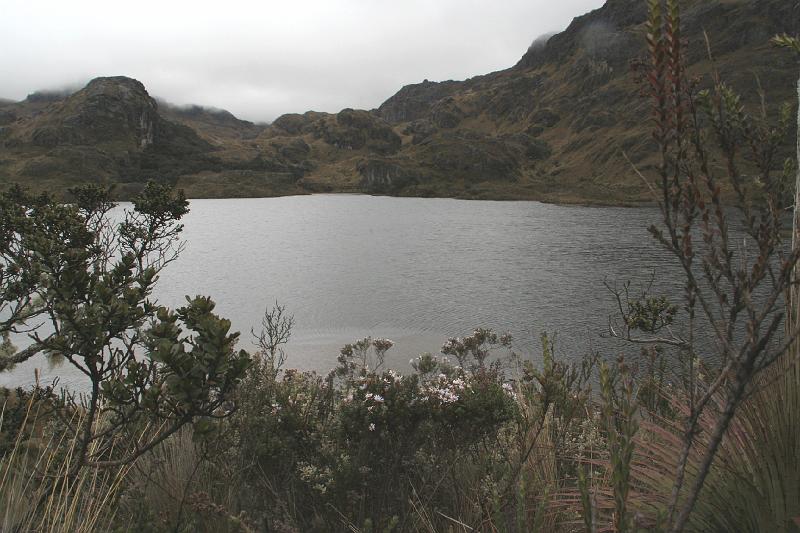 Cajas_9.jpg