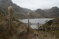 Cajas_4