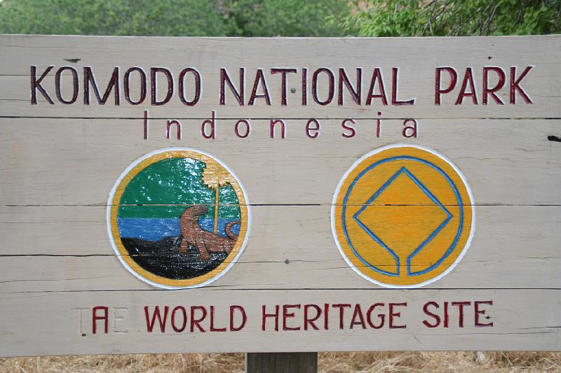 komodo13.jpg