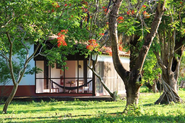 120-Pantanal-canon-185.jpg - We logeren in een leuk huisje met uitzicht op de tuin waar in een boom met rode bloemen twee toekans wonen.