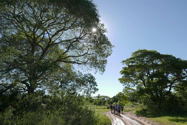 122-Pantanal-023.jpg - Laat in de namiddag gaan we nog op stap voor een eerste kennismaking met dit prachtig natuurgebied.