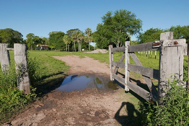 125-Pantanal-034.jpg