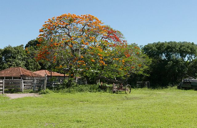 126-Pantanal-017.jpg