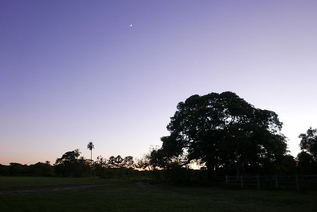 131-Pantanal-041.jpg - De eerste ochtend in de Pantanal zijn we vroeg uit de veren…