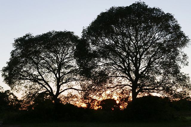 132-Pantanal-045.jpg - ...net op tijd om de zon te zien opkomen.