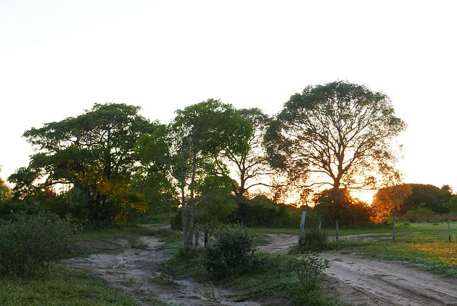 133-Pantanal-050.jpg