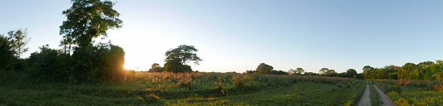 136-Pantanal-055.jpg