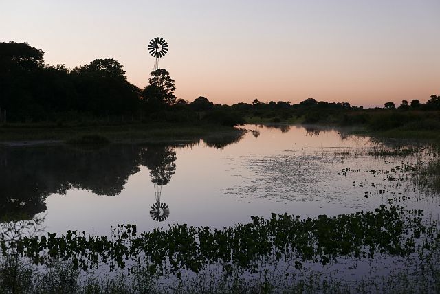 201-Pantanal-173--dag-3-ochtend.jpg - Ook de volgende morgen zijn we voor dag en dauw uit de veren.