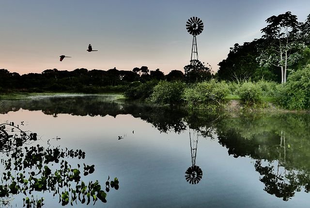 202-Pantanal-178-dag-3-ochtend.jpg