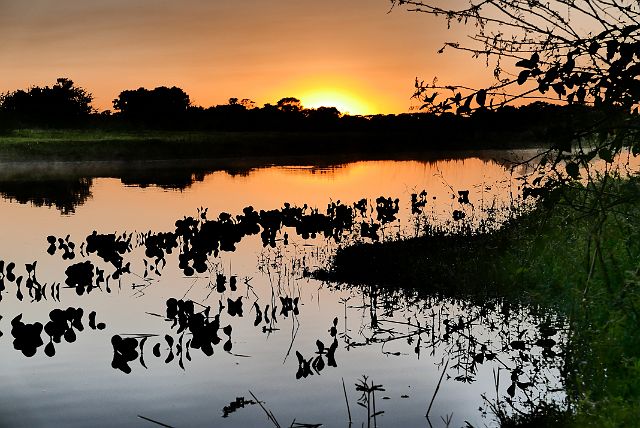 203-Pantanal-177-dag-3-ochtend.jpg - Daar is de zon.