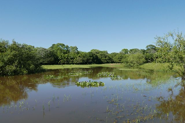 232-Pantanal-209-dag-3-paardrijden.jpg