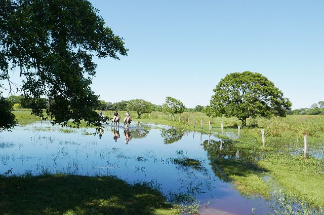 245-Pantanal-218-dag-3-paardrijden.jpg