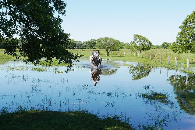 246-Pantanal-220-dag-3-paardrijden.jpg