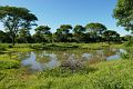 153-Pantanal-071-safari-dag-2-voormiddag