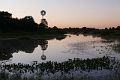 201-Pantanal-173--dag-3-ochtend