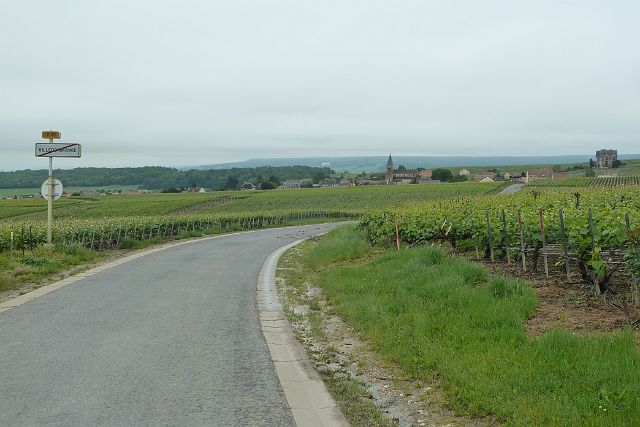 007-champagneroute-naar-Chaméry-01.jpg - Als we Reims uitrijden, zitten we vlug te midden van de wijngaarden.