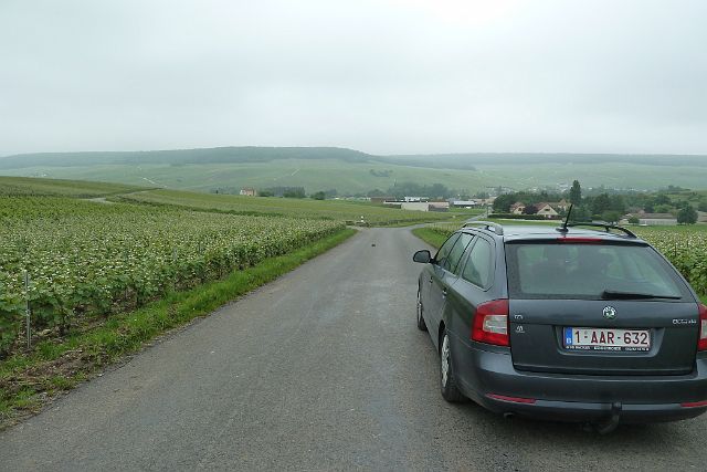 076-champagneroute-naar-Troyes-04.jpg - We zetten onze tocht verder en volgen de Côte des Blancs, wieg van de Chardonnay, tussen Epernay en Sézanne.