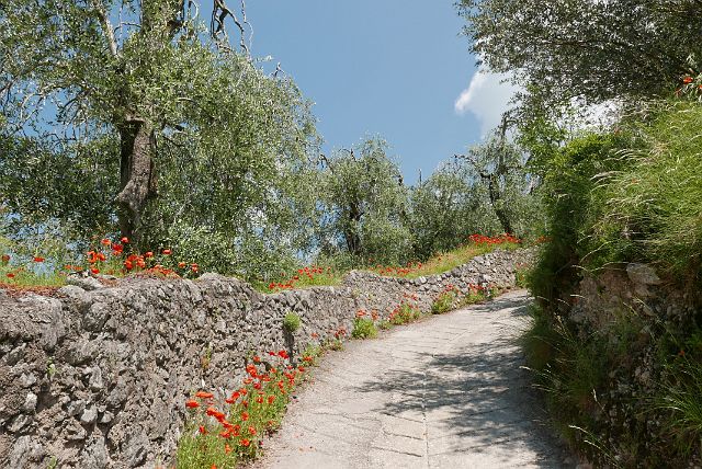 076-wandelen-naar-Cassone-en-terug-dag3-083.jpg