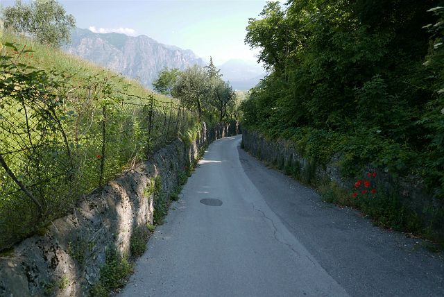 209-boottocht-Malcesine-Sirmione-dag-6-004-te-voet-naar-beneden.jpg - We beslissen om vandaag het Gardameer met de boot te verkennen. Voor de verandering gaan we te voet naar het dorp.