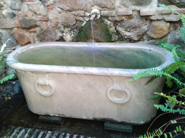 010-iznate-nov-2016-10.jpg - Neen, dit is niet het zwembad van Connie. Wel een decoratieve badkuip ergens in Malaga.
