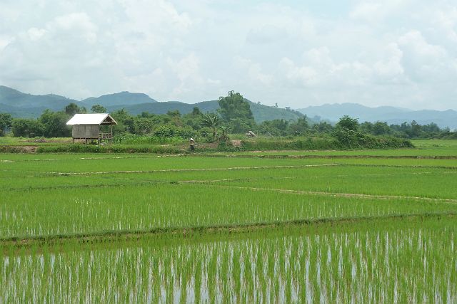 010-Luang-Nam-Tha-fietstocht-22.jpg - Luang Nam Tha, Laos