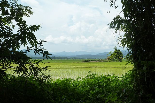 011-Luang-Nam-Tha-fietstocht-78.jpg - Luang Nam Tha, Laos