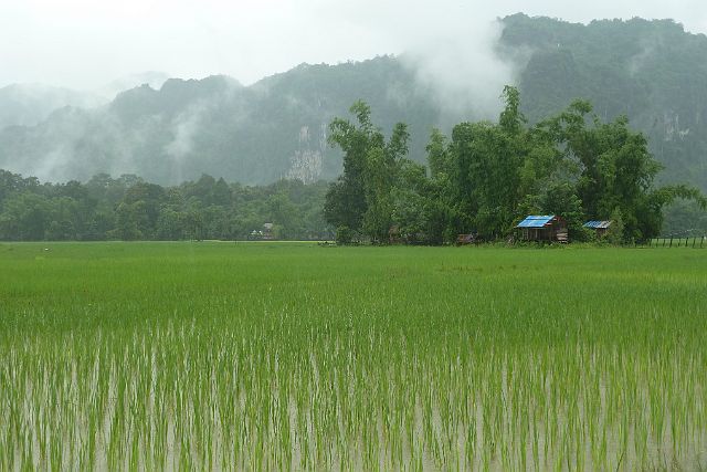 054-Hinboun-103.jpg - Hinboun National Park, Laos