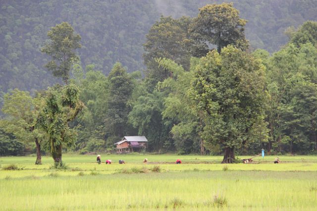 057-Hinboun-128.jpg - Hinboun National Park, Laos