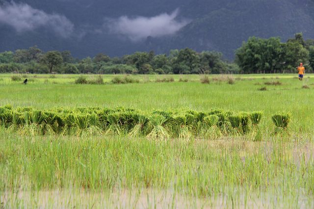 058-Hinboun-142.jpg - Hinboun National Park, Laos