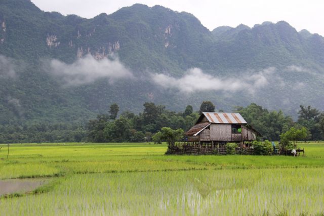 059-Hinboun-134.jpg - Hinboun National Park, Laos