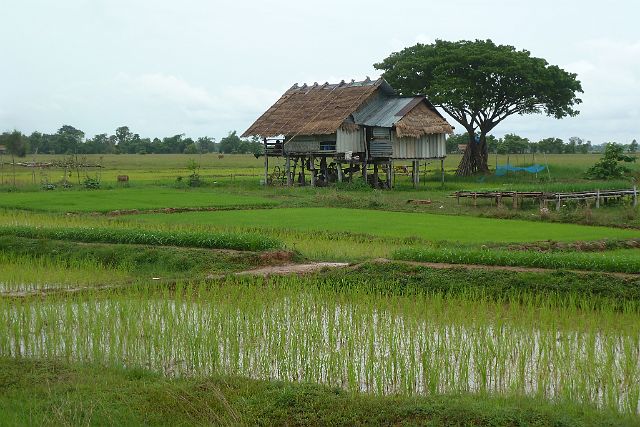 067-Khong-eiland-041-fietsen.jpg - Khong island, Laos