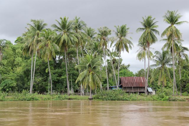 074-Khong-eiland-134-Si-Pan-Don.jpg - Si Pan Don, Laos