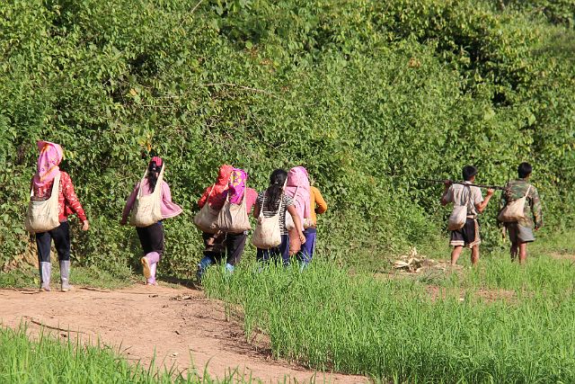 078-Luang-Nam-Tha-trektocht-063.jpg - … zien we de dorpelingen terugkomen van het werk op de rijstvelden.