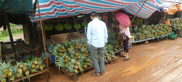337-Hinboun-25.jpg - Waar zullen we ananas kopen?