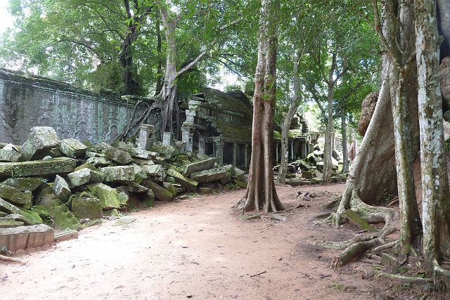 681-Siem-Reap-151-angkor.jpg - Ta Prohm, een boeddhistische tempel, is vooral gekend van de tropische bomen die deze tempel overwoekerd hebben. De bouw van Ta Prohm begon in 1186 en is opgedragen aan de moeder van een of andere koning.