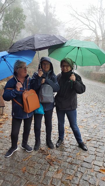 182-dag-3-castelo-dos-mouros-001.jpg - Allé zeg, waarvoor hebben wij een paraplu meegebracht?