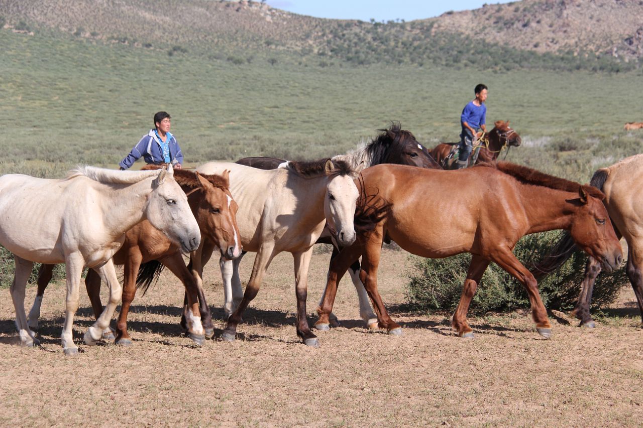 202-gurvanbulag-116-nomadenfamilie.jpg - De zonen tonen hoe paarden gevangen en gezadeld worden.
