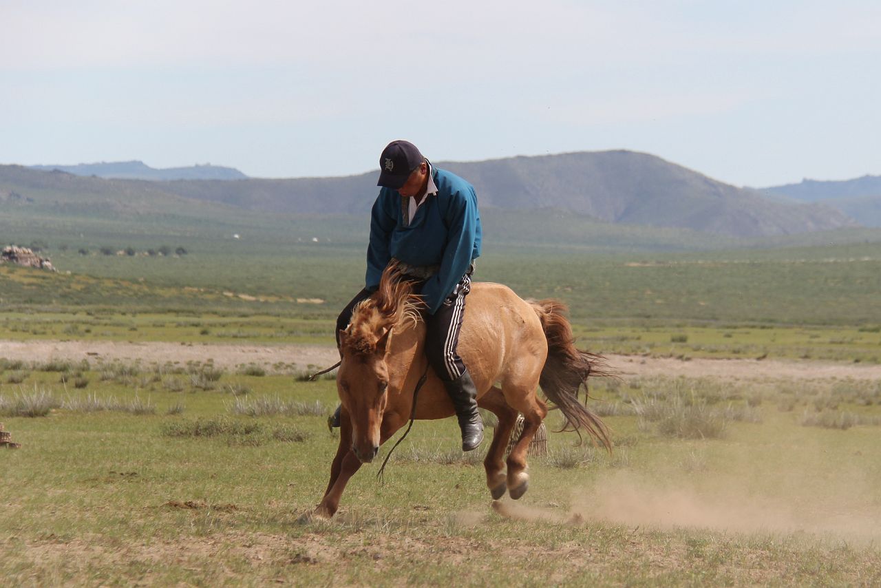 229-gurvanbulag-199-gerkamp.jpg - De Mongolen tonen ons dat paarden echt wel hun ding is!