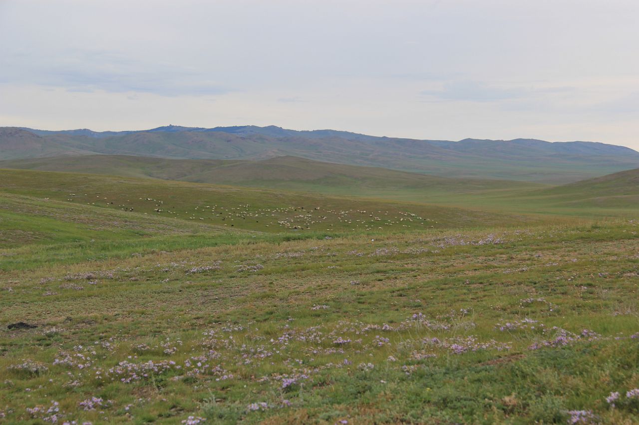 401-Orkhon-202.jpg - Net een geasfalteerde weg richting Ulaanbaatar overgestoken, en het lijkt alsof we alweer in 'the middle of nowhere' zitten.