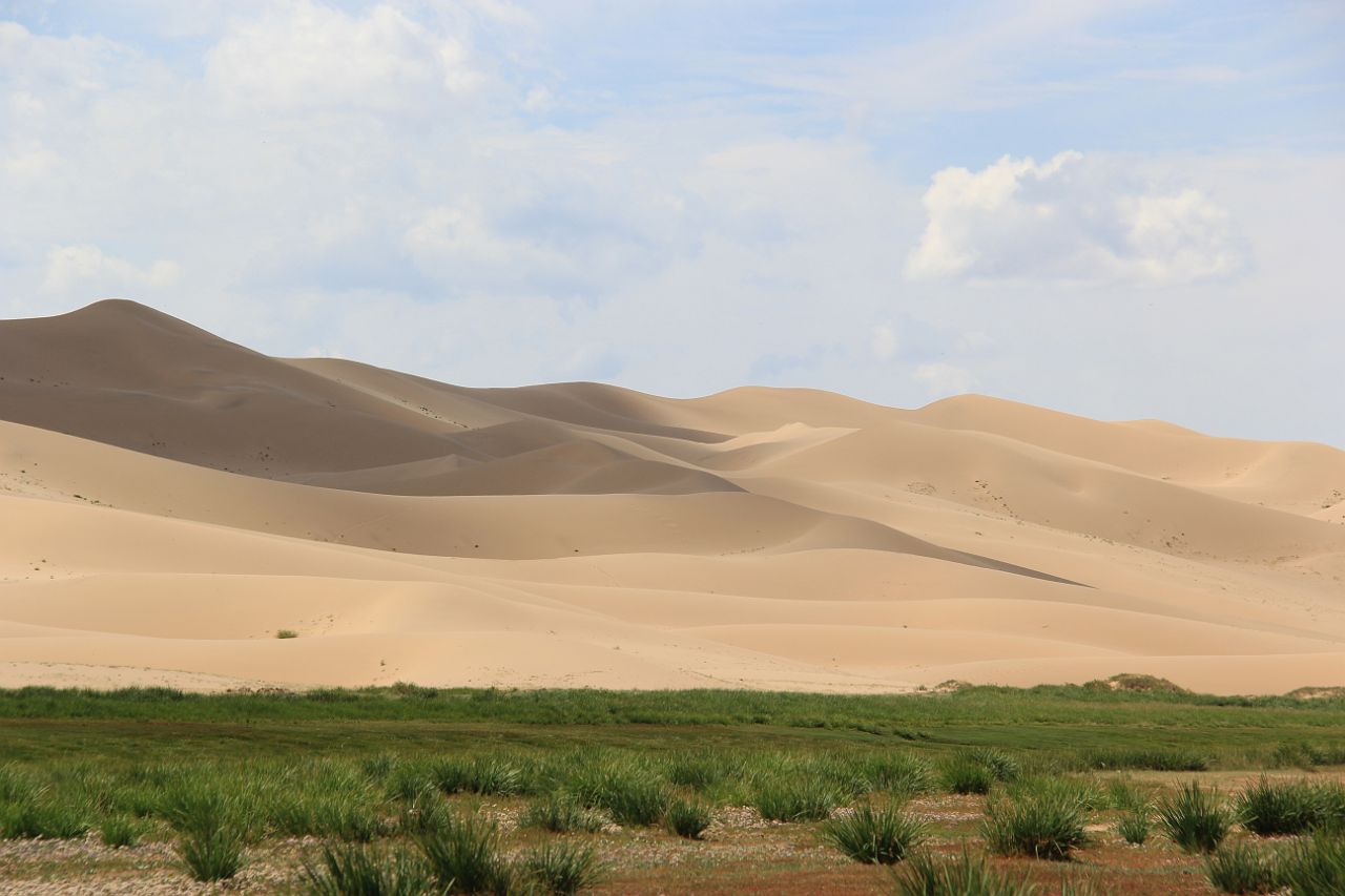499-Khongoryn-Els-032.jpg - Khongoryn Els zijn de grootste zandduinen van de Gobi in Mongolië. De hoogste duinen zijn 300 m.