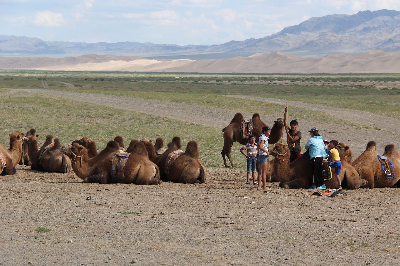 503-Khongoryn-Els-039.jpg - Terwijl de kamelen gehaald worden...
