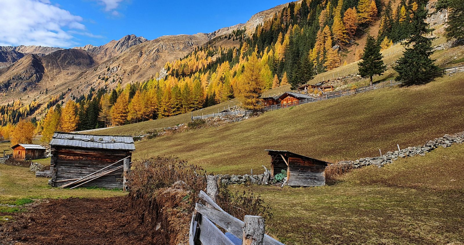 134-dag-6-27-Innervillgraten-Oberstalleralm.jpg