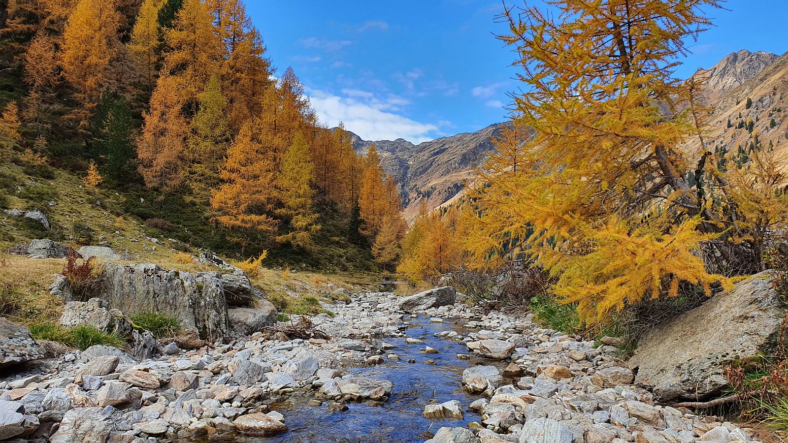 137-dag-6-22-Innervillgraten-Oberstalleralm.jpg