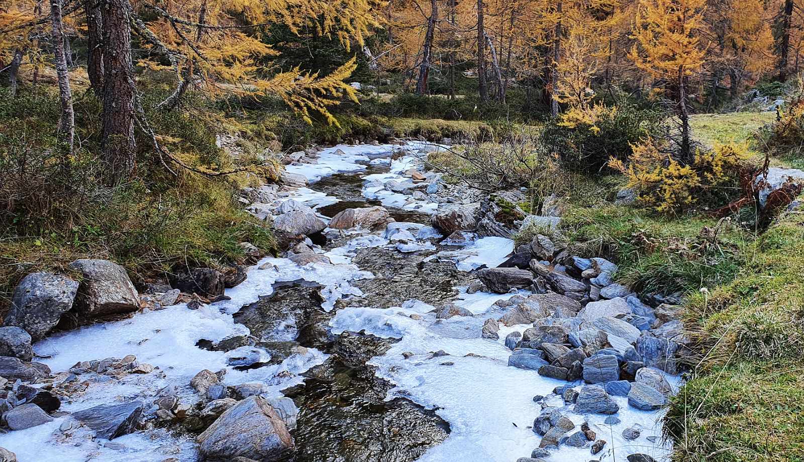 138-dag-6-31-Innervillgraten-Oberstalleralm.jpg